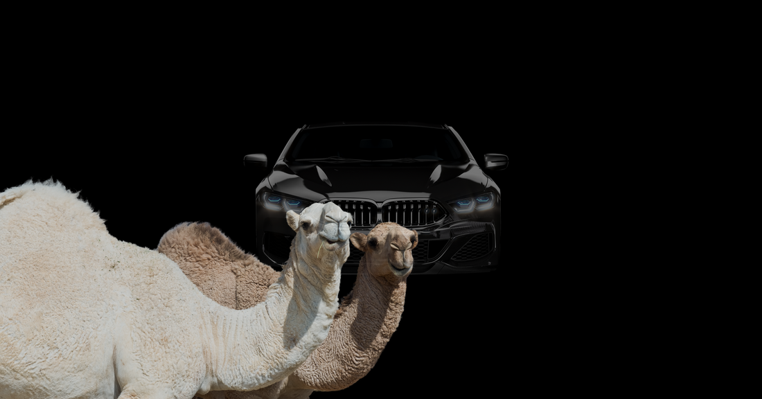 From Camels to Supercars: Celebrating Saudi Arabia's National Day